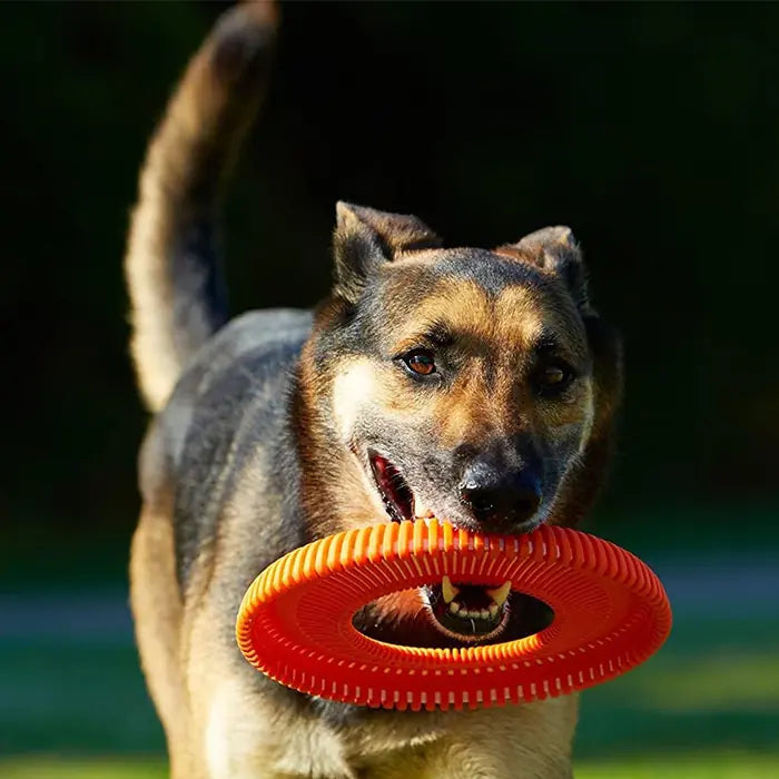 Chuckit Rugged Flyer Extra Durable Dog Frisbee Medium Size