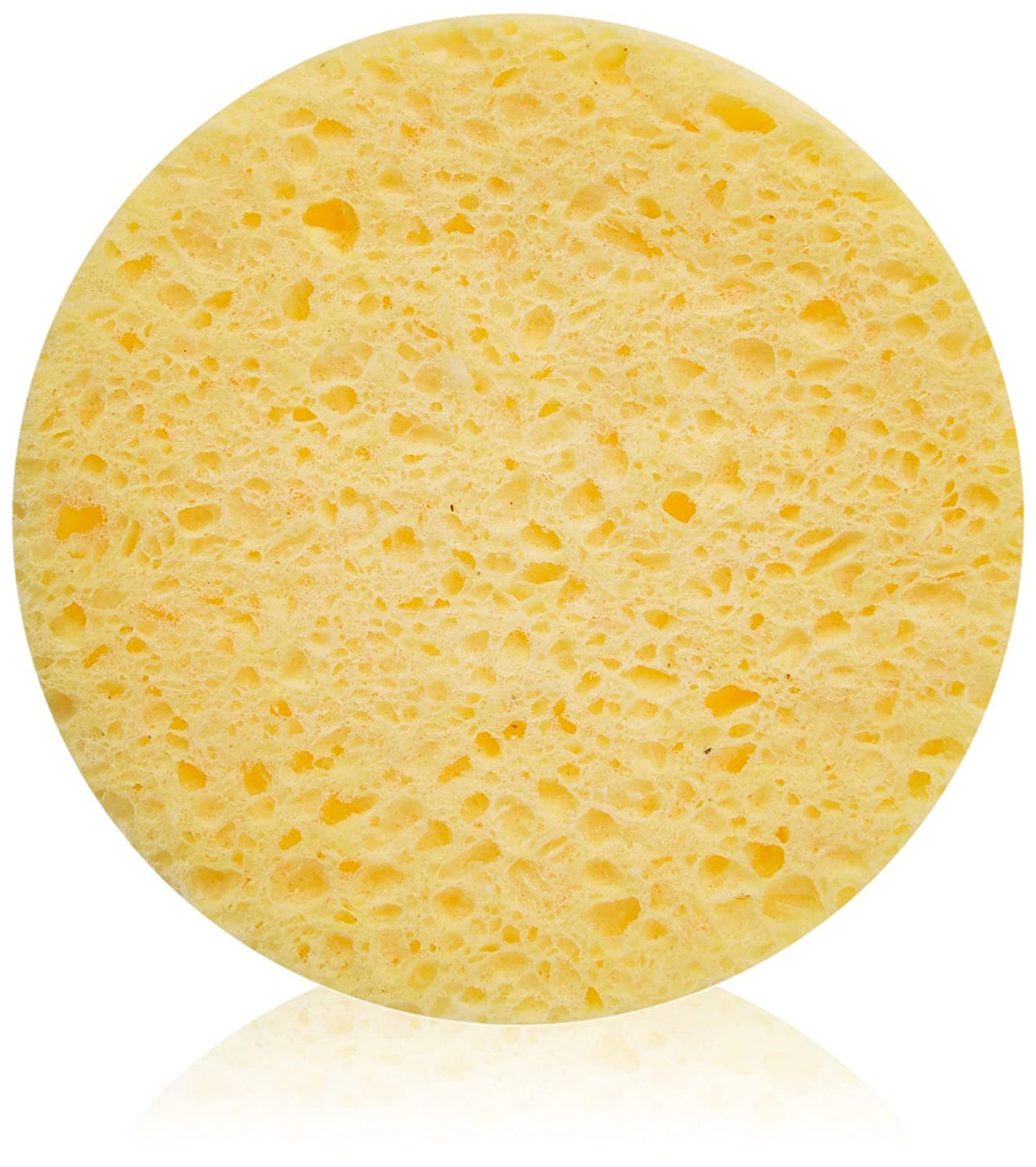 Fanta Sea - Cleansing Sponges (25pc)