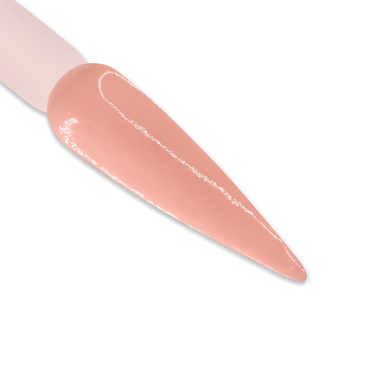 DD175 PIGLET
