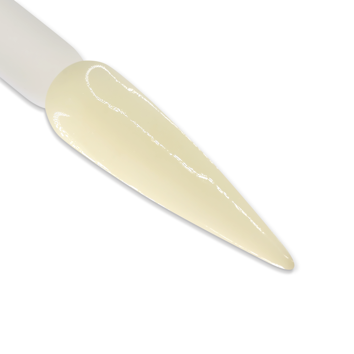 DD184 BUTTERCUP