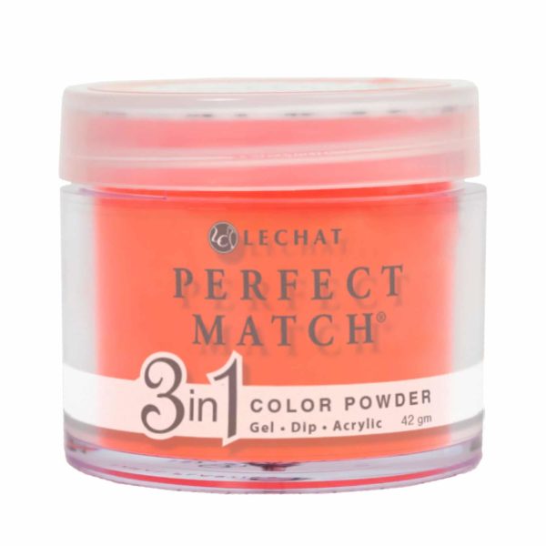 PMDP046 Spot Light - 3in1 Gel Dip Acrylic 42gm