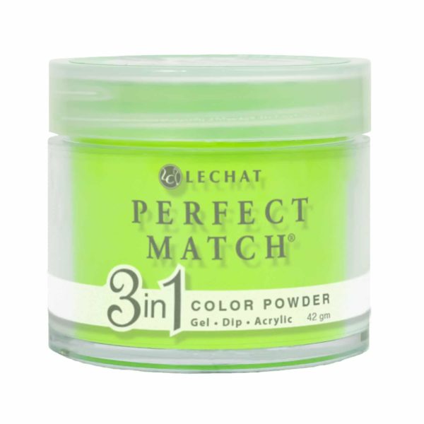 PMDP203 Flashback - 3in1 Gel Dip Acrylic 42gm