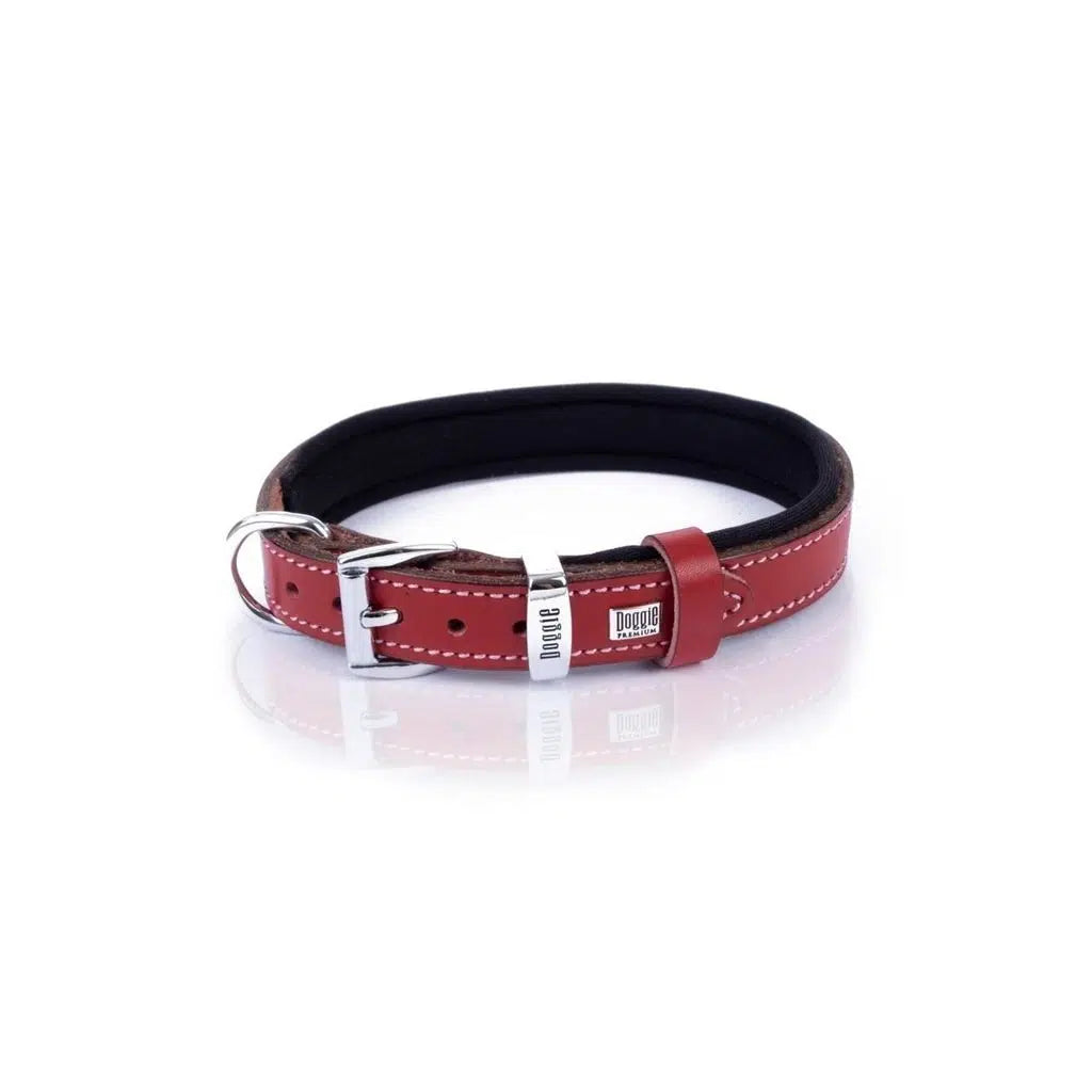 Doggie SBT Leather Bone Print Dog Collar Red Medium