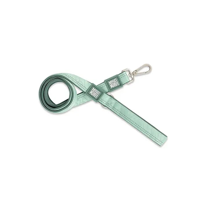 Max & Molly Matrix 2.0 Jade Dog Leash for Large Dogs