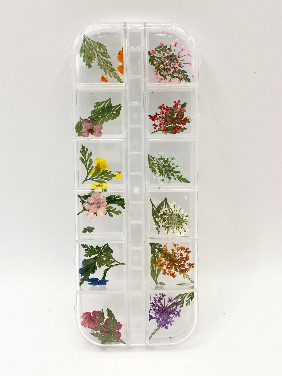Queen - Dried Flowers 03