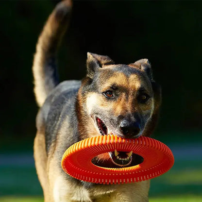 Chuckit Rugged Flyer Extra Durable Dog Frisbee Medium Size