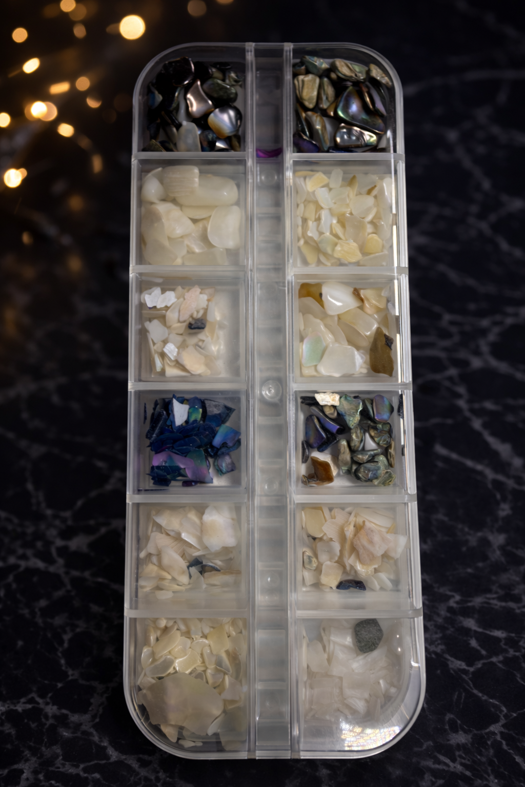 Queen - Crush shells - Sea Shells - #70