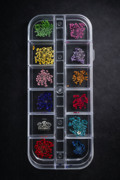 Queen - Dried Flowers 01
