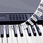 Removable Piano Key Stickers Note Labels for 88 Key Full Size Silicone Reusable Piano Keyboard Stickers for Beginners Comes with Box(Black)