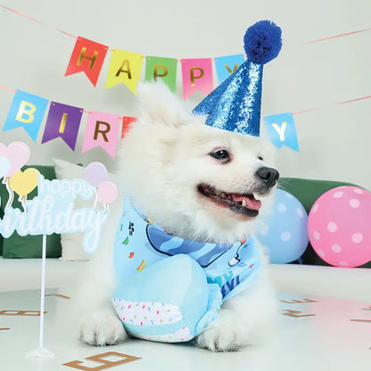 M-Pets Party Time Birthday Set for Male Dogs 1 Count