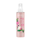 Yardley English Rose Body Mist 6.8 Fl Oz