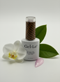 Gel-Le - Hema & TPO Free - HT01 - Blushing Bride