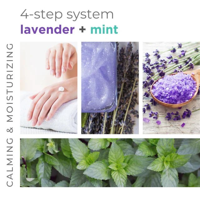 BCL Spa - Lavender + Mint - Massage Cream