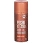 Right Guard Deodorant Aerosol, Original All Day Scent 8.5 Oz