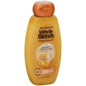 Garnier Whole Blends Honey Treasures Shampoo For Damaged Hair - 650 mL