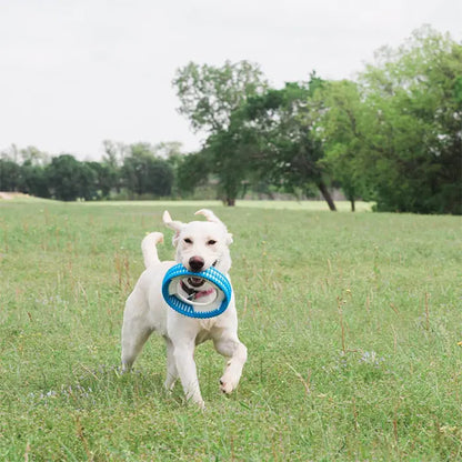 Chuckit Rugged Fetch Extra Durable Dog Toy Ring