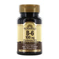 Windmill Natural Source Vitamin B-6, 100 Mg Tablets