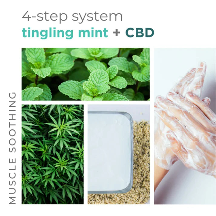 BCL Spa - Tingling Mint - Massage Cream