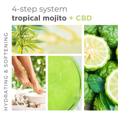 BCL Spa - Tropical Mojito - Sugar Scrub