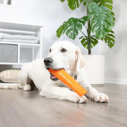 Chuckit Super Crunch Sound Dog Toy for Active Play