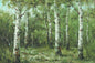 Original Oil Painting of Birch Trees
