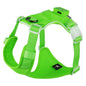 Illuminate Your Dog's Adventures: Rechargeable LED Harness for All Sizes - Breathable, Adjustable, Waterproof & Easy to Use! Perfect for Walking & Training!