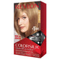Beautiful Salon-Quality Hair color