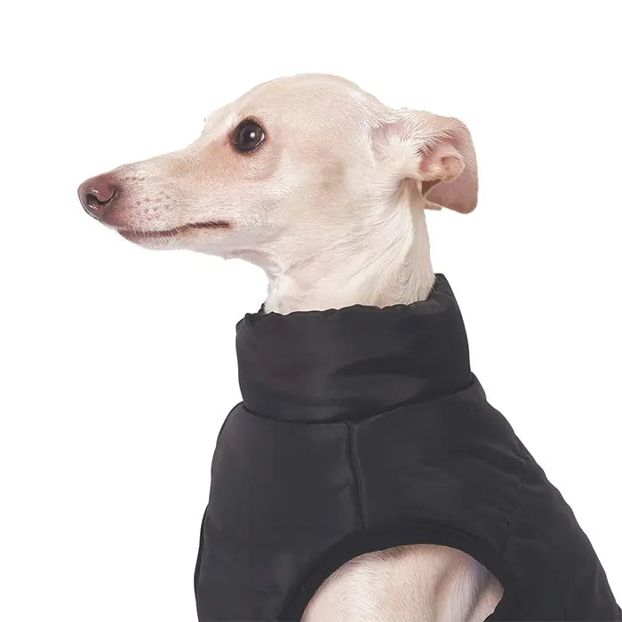 M-Pets Gentle Dog Winter Jacket Waterproof Black & Blue XLarge