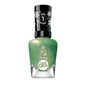 Gel-Like Nail Polish (Limited Edition)