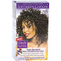 Dark & Lovely Fade Resist Permanent Hair Color, 372 Natural Black