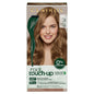 Root Touch-up Permanent Hair Dye