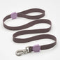 Lindo Dog Leash Durable Recyclable Material Medium 20mm x 120cm
