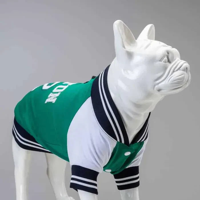 Lindo College Boston Dog Sweatshirt for All Breeds
