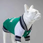 Lindo College Boston Dog Sweatshirt for All Breeds