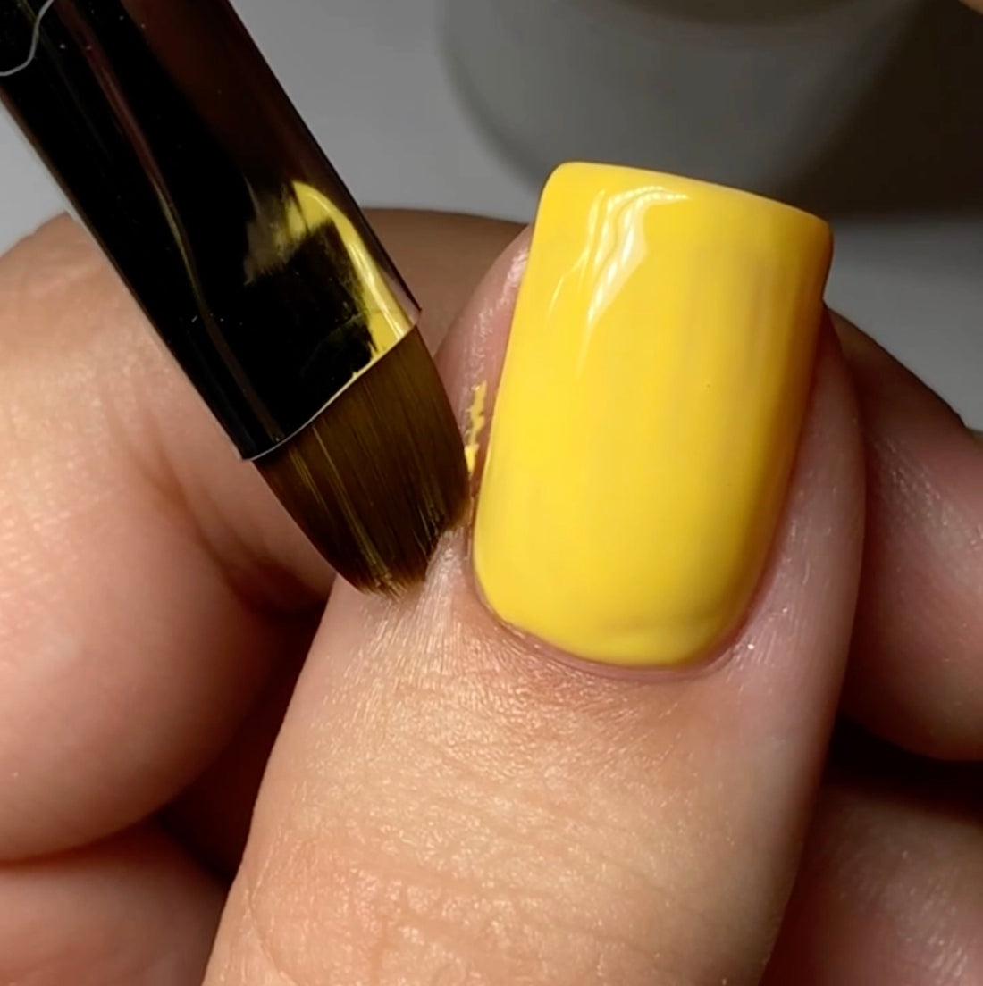 French Brush #10
