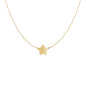 14k Yellow Gold Necklace with Five Pointed Star
