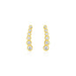 14k Yellow Gold Graduated Circles Climber Post Earrings with Cubic Zirconias