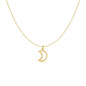 14k Yellow Gold Necklace with Moon