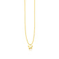 14k Yellow Gold Polished Star Necklace with Diamond