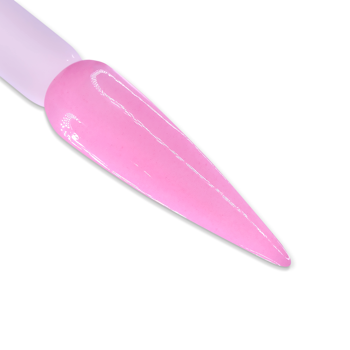 DD019 - LADY ROSE