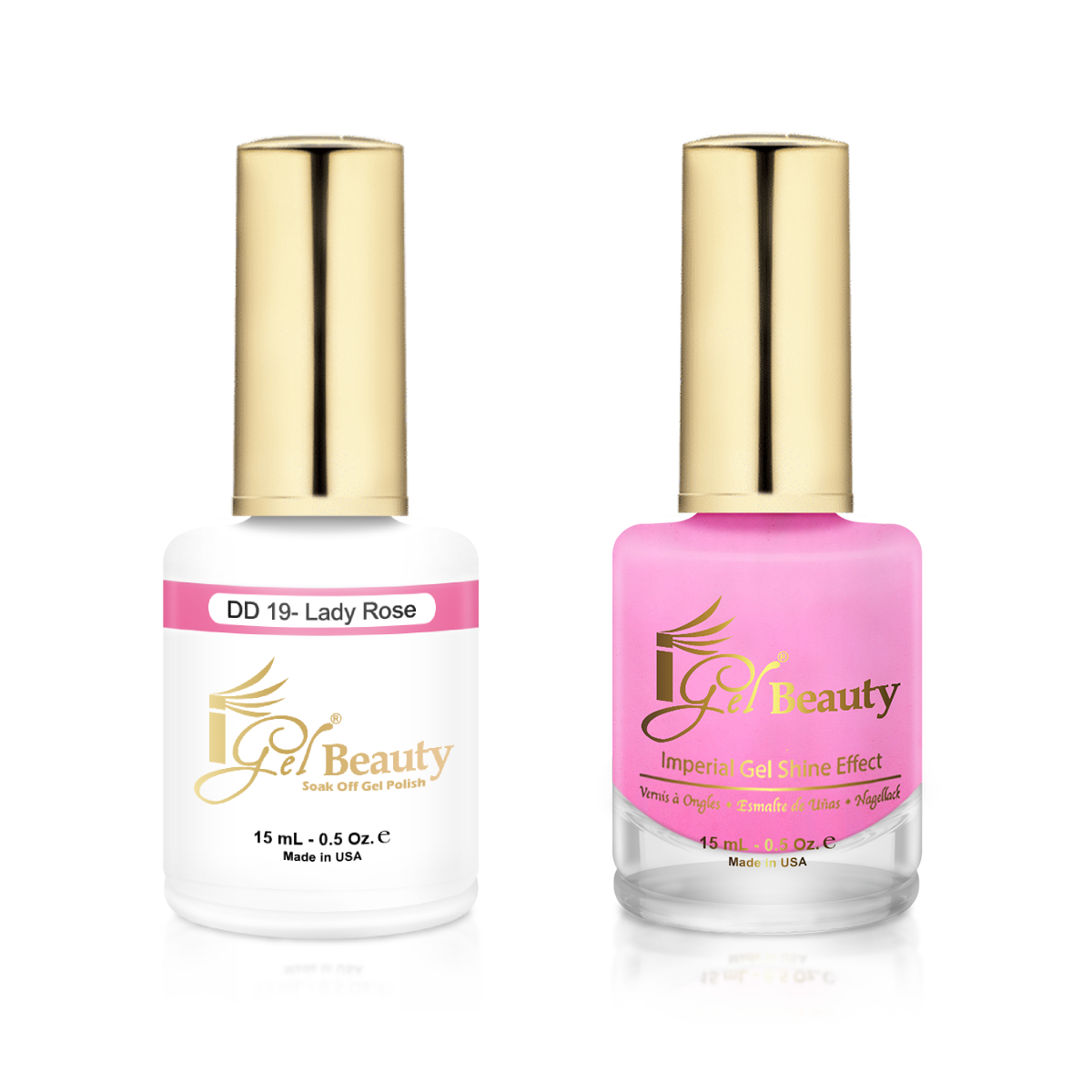 DD019 - LADY ROSE