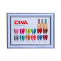 DIVA Framed Color Chart — 9D Cat Eye Candy