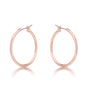Small Hoop Earrings