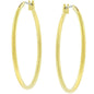 Elegant Hoop Earrings