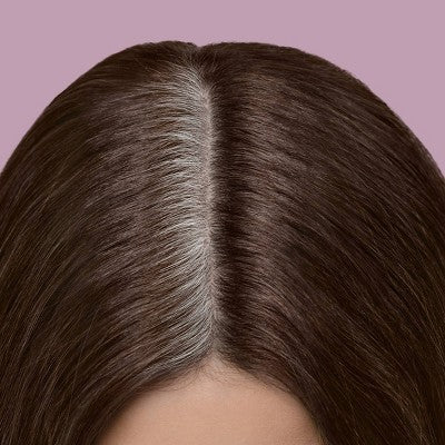 Madison Reed Root Perfection Root Touch Up Kit Medium Brown 6N 7ct - Imperfect Box