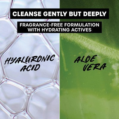 Thayers Natural Remedies pH Balancing Gentle Face Wash with Aloe Vera 8 fl oz - Imperfect Container