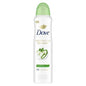 Dove Beauty Advanced Care Cool Essentials 72-Hour Women's Antiperspirant & Deodorant Dry Spray - Imperfect Container