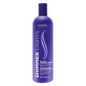 Clairol Professional Shimmer Lights Blonde Toning Shampoo 16 fl oz - Imperfect Container