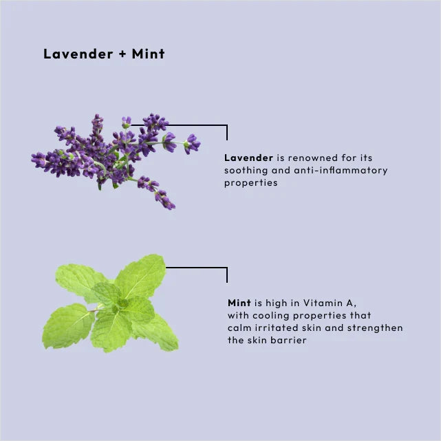BCL Spa - Lavender + Mint - Moisture Mask