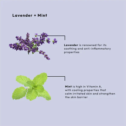 BCL Spa - Lavender + Mint - Dead Sea Salt Soak